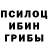 Галлюциногенные грибы MAGIC MUSHROOMS Darhan Muhtarov