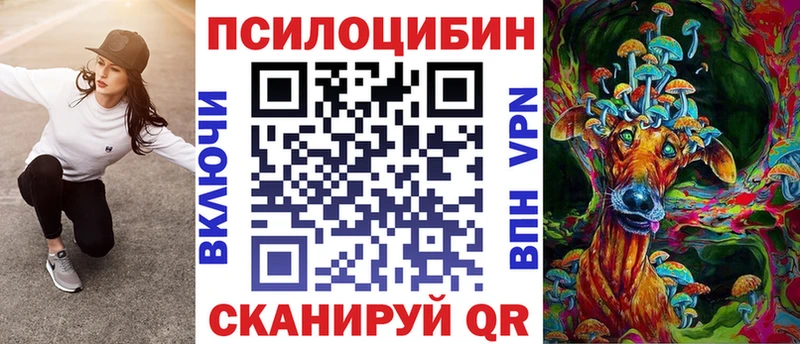 Псилоцибиновые грибы мухоморы  купить закладку  Бабушкин 
