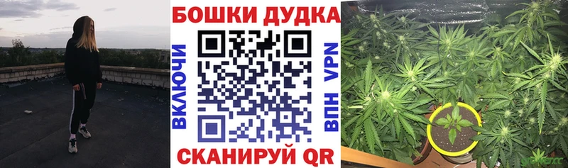 Каннабис конопля  ссылка на мегу tor  Бабушкин 
